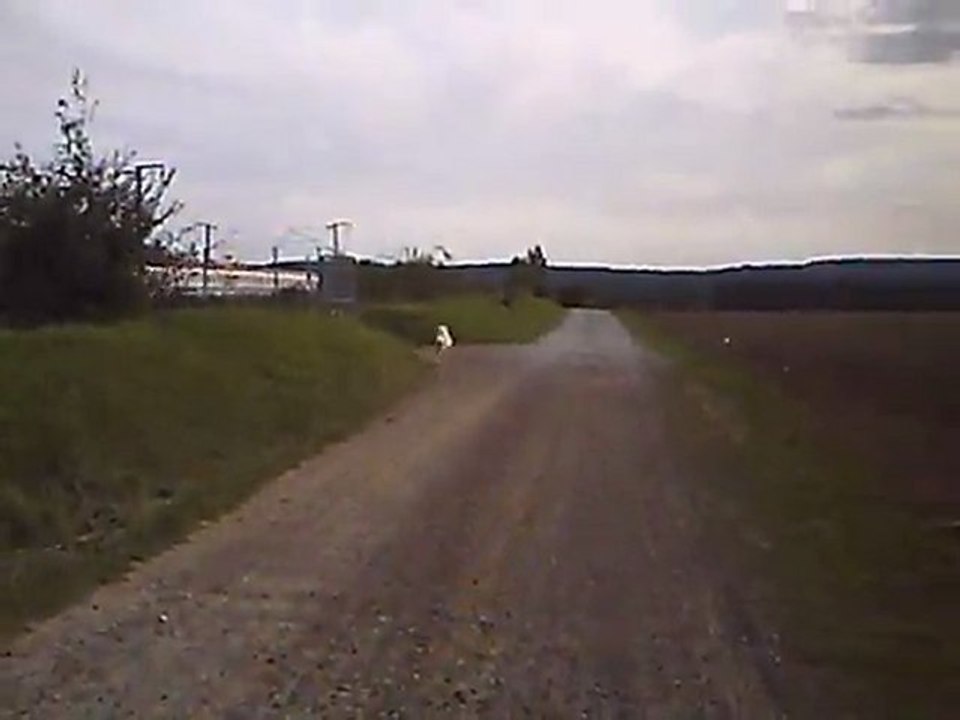 tgv les animaux de la 8
