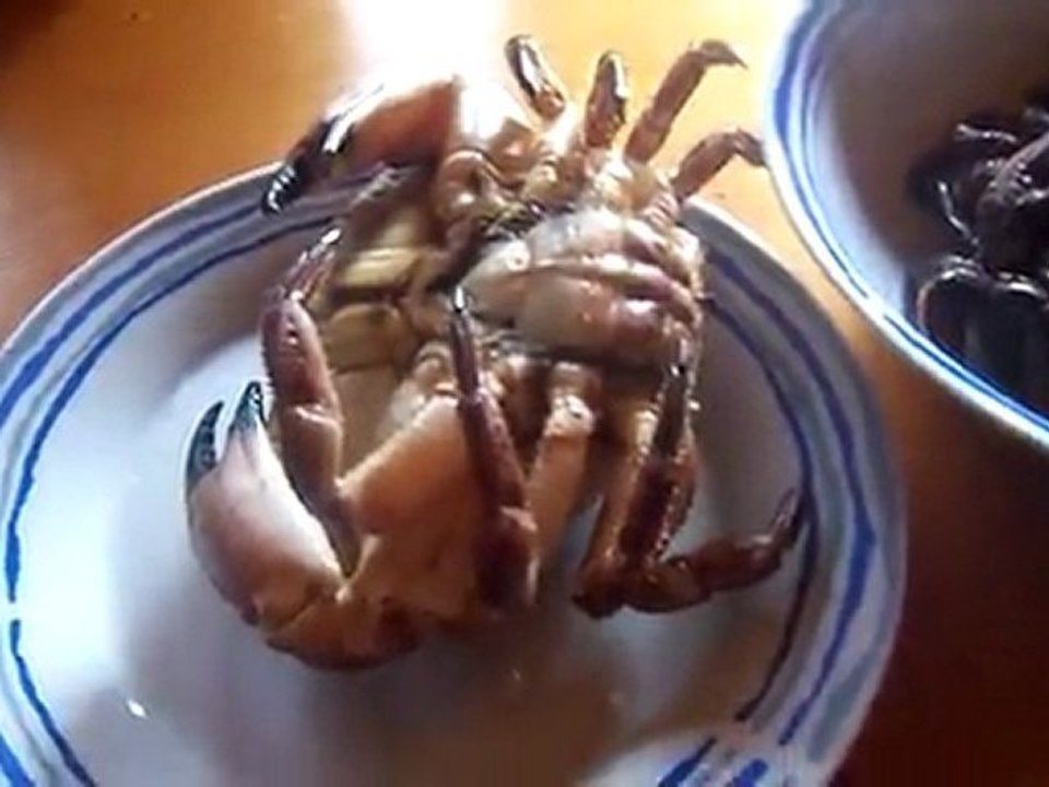 le crabe !