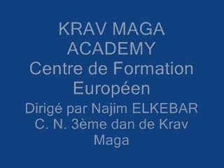 démonstration krav maga