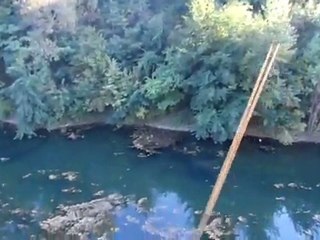 Le Cri qui tue, Felix tu vends du rêve!