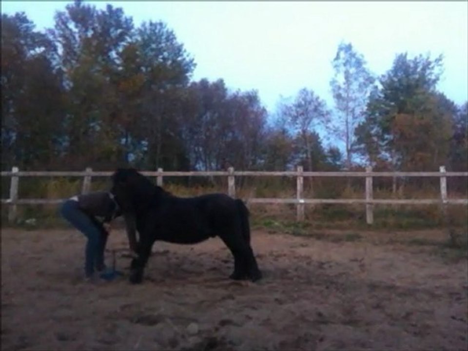 Séance du 27 septembre