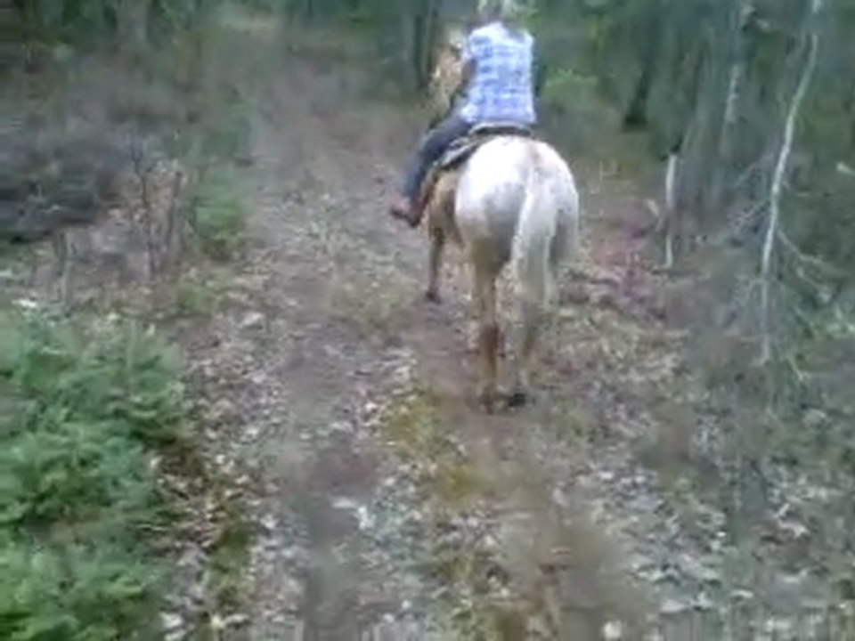 VID 00038-20110520-1604