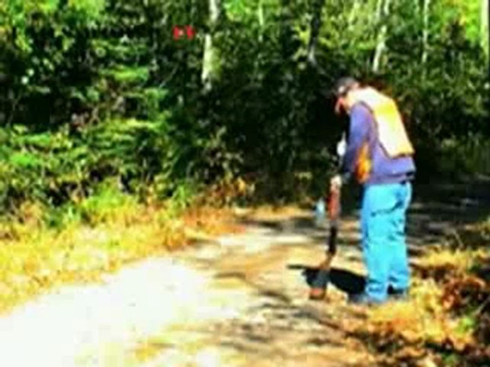 Verdammt knapp am Tod vorbei  Fail