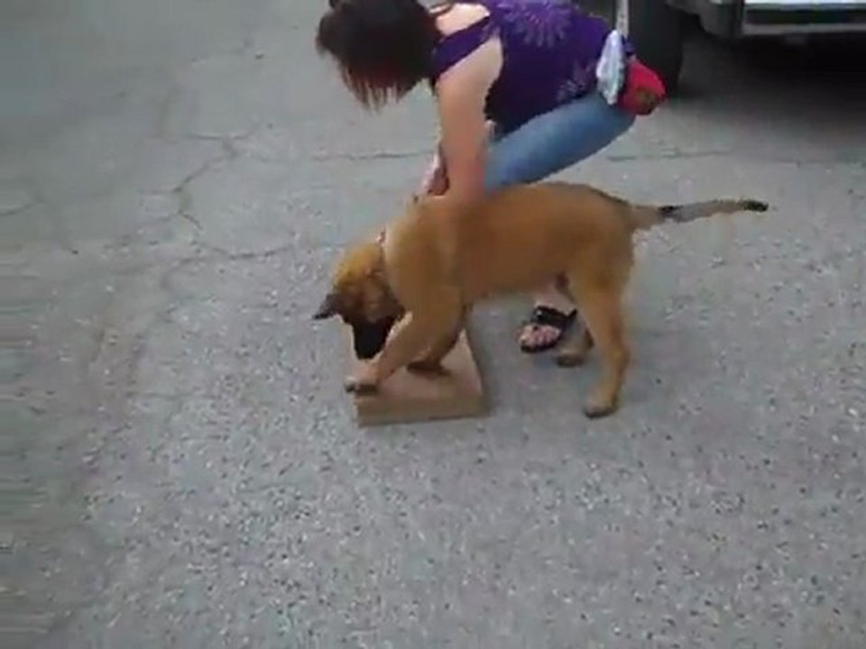 Gaetz 12 semaines lesson 4