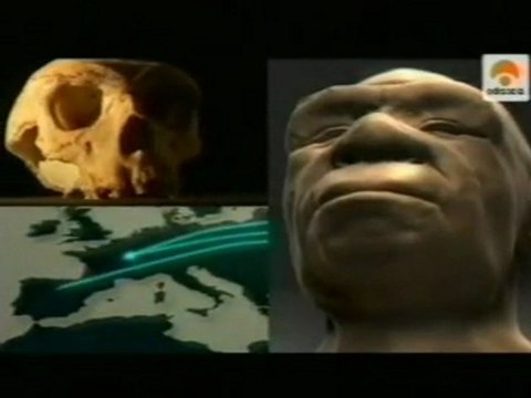 Homo Heilderbergensis: Atapuerca (La sima de los huesos)