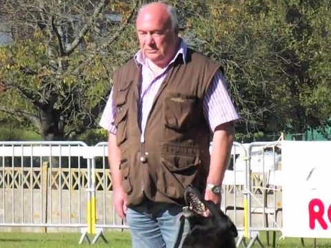 Caudry : 69 chiens présents pour le concours canin