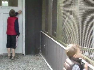 Licas in Canada_2011_4