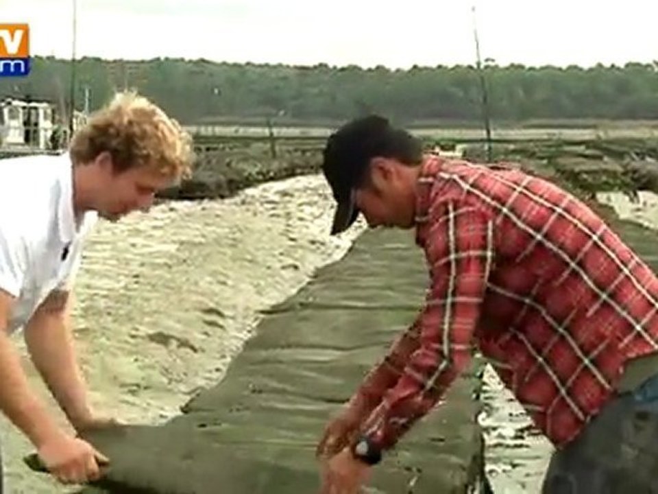 Des ostréiculteurs japonais en Charente-Maritime