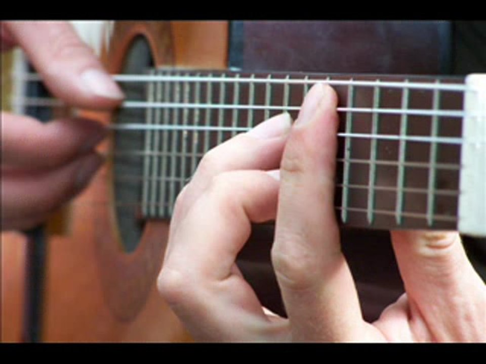 Sting/ Dominic Miller - Shape of my heart - Guiohm