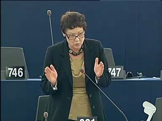 Sarah Ludford on Security scanners