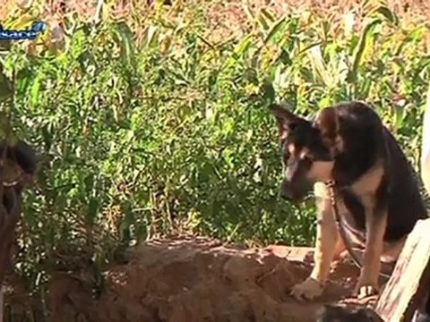 Roms: plus d'expulsions, place à l'intégration (Alsace)