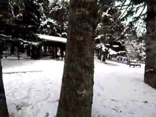 Folklorik Turizm Gölcük Gölü  Milli Parkı Videoları