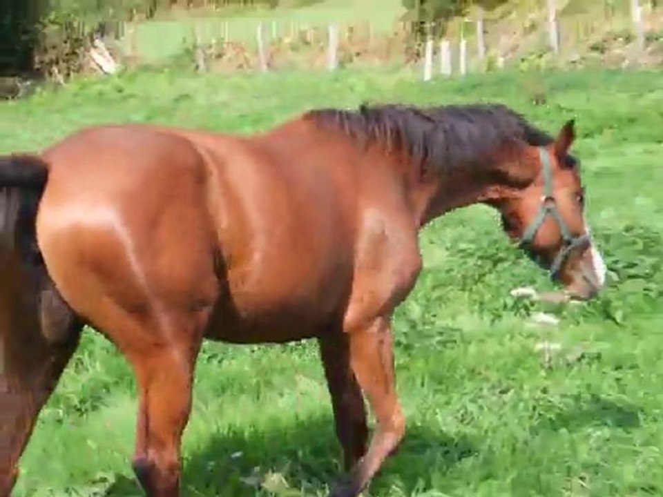 SEPTEMBRE 2011 005