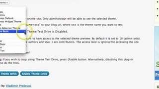 Wordpress Tutorial-How to test WP theme