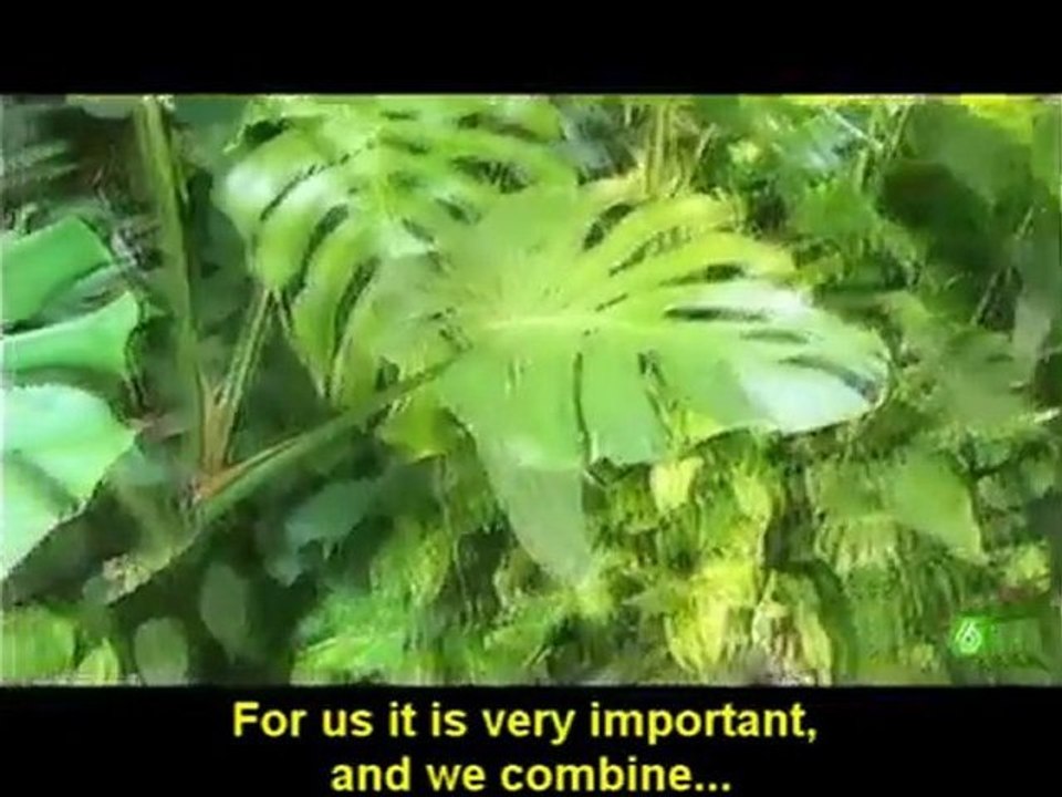 paisajismo urbano tv interview. vertical garden and green walls system