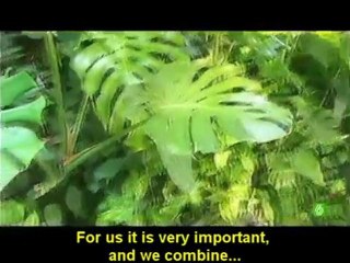 paisajismo urbano tv interview. vertical garden and green walls system