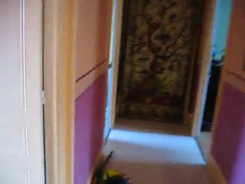 Appartement Lons le Saunier 2