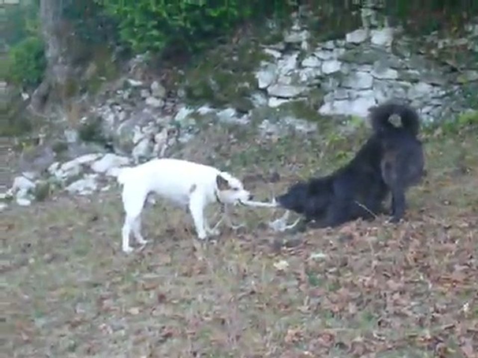 Twist et Douce Folie