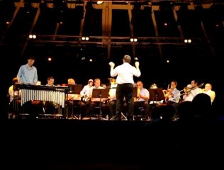 Le xylocope (J.Devogel) BF Joué les Tours