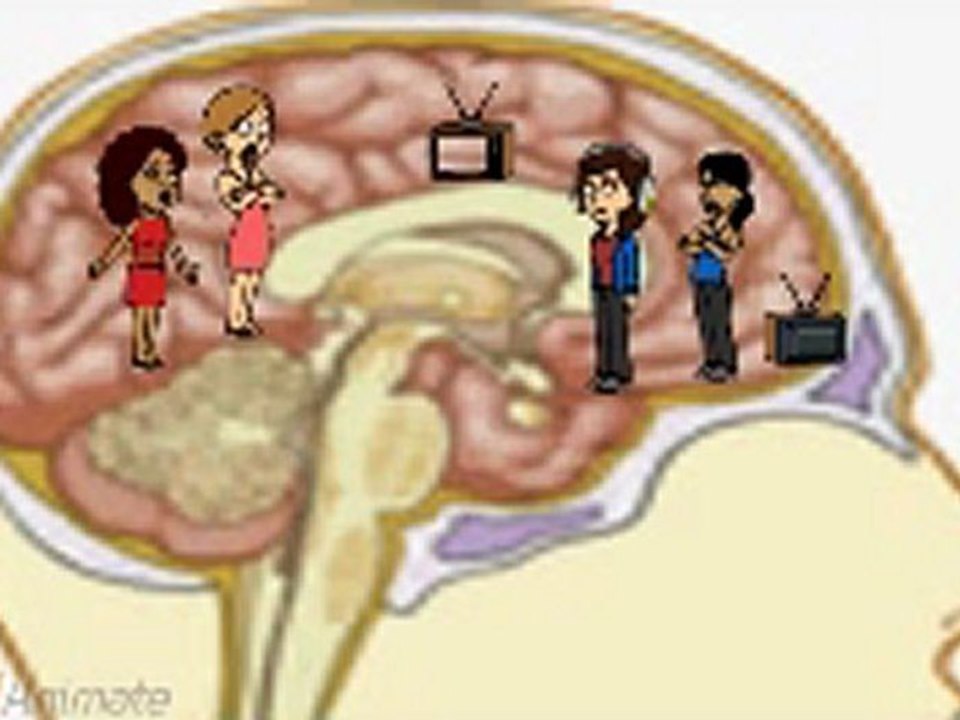 ANTIDRUG Spanish wmv