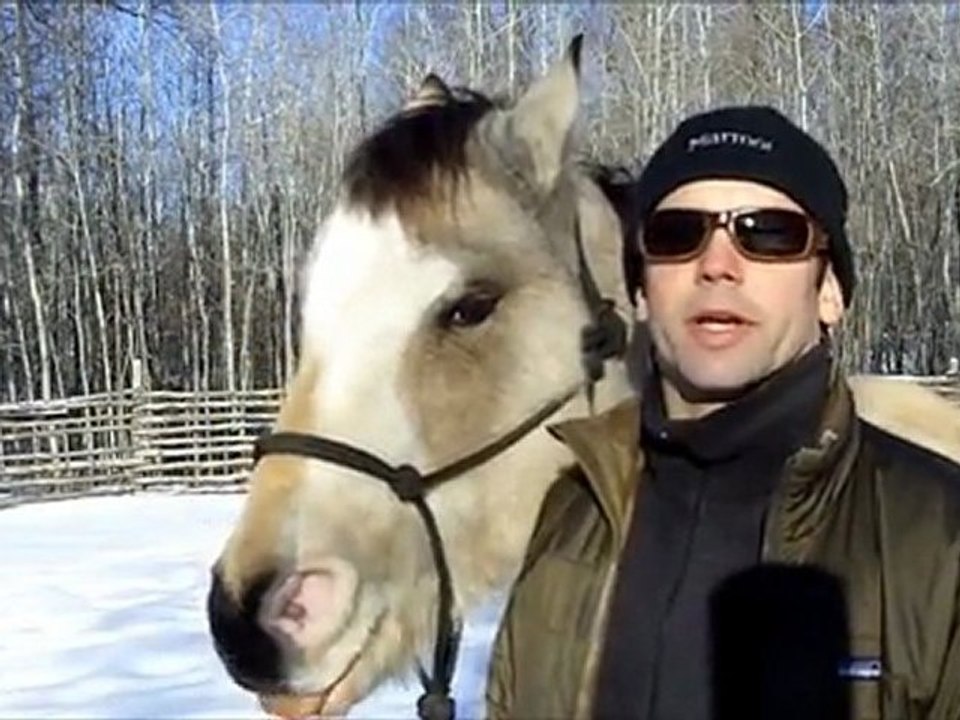 Leadership Styles Taught by a Horse