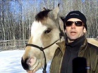 Leadership Styles Taught by a Horse