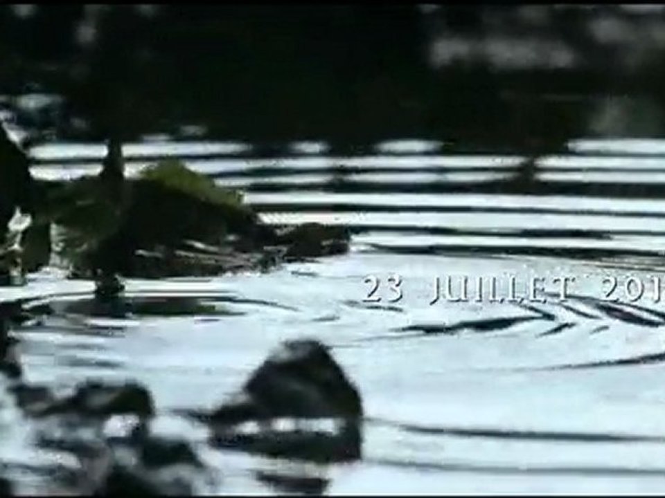 Camp scout 2011