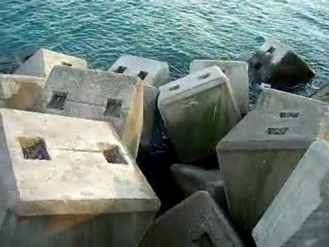 KARASU LİMANI - SAKARYA