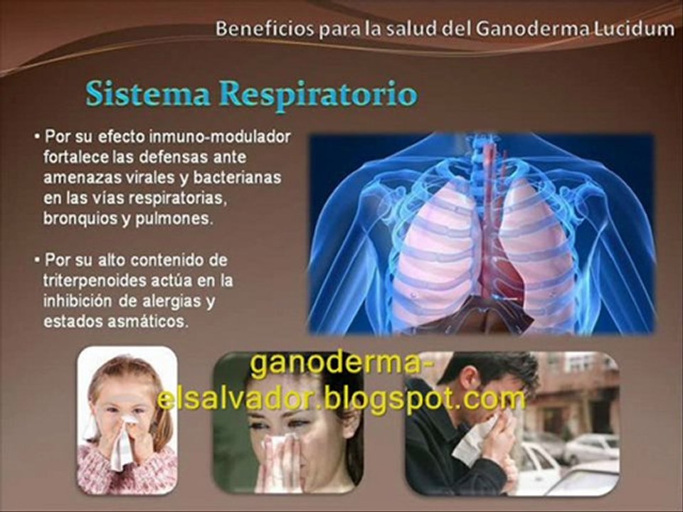 Café con Ganoderma Lucidum en El Salvador