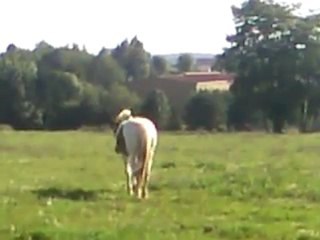 Luna retrouve ses Copains :)