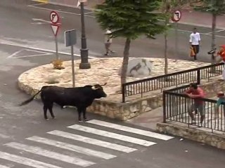 El camino de Amilcar en Molinicos, con Modesto Colorado