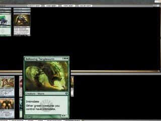 MTG - DraftSOM022 - Résolutions 2011 part1