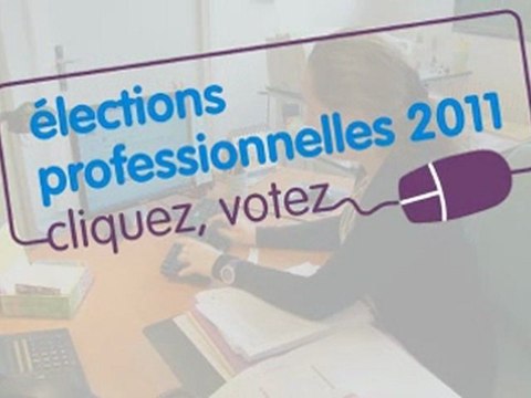 Elections professionnelles 2011