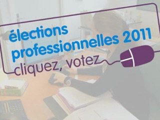 Elections professionnelles 2011