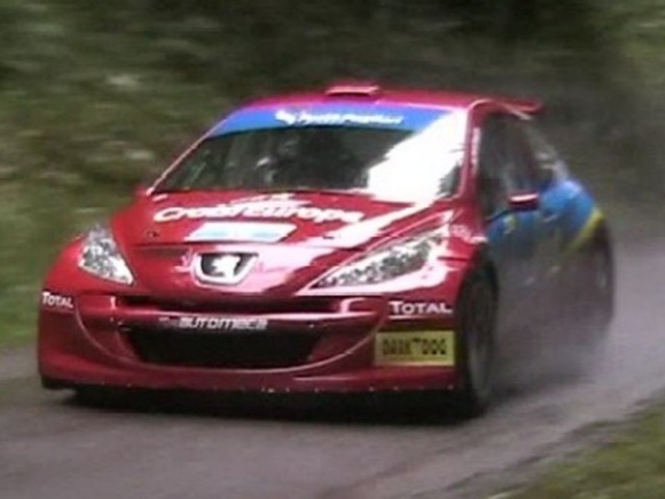 Rallye de France Alsace 2011
