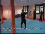 Vechtsport: Afstand Bo, Kouga Ryu Ninjutsu, Sensei Titus Mathijn Jansen (Scheemda)