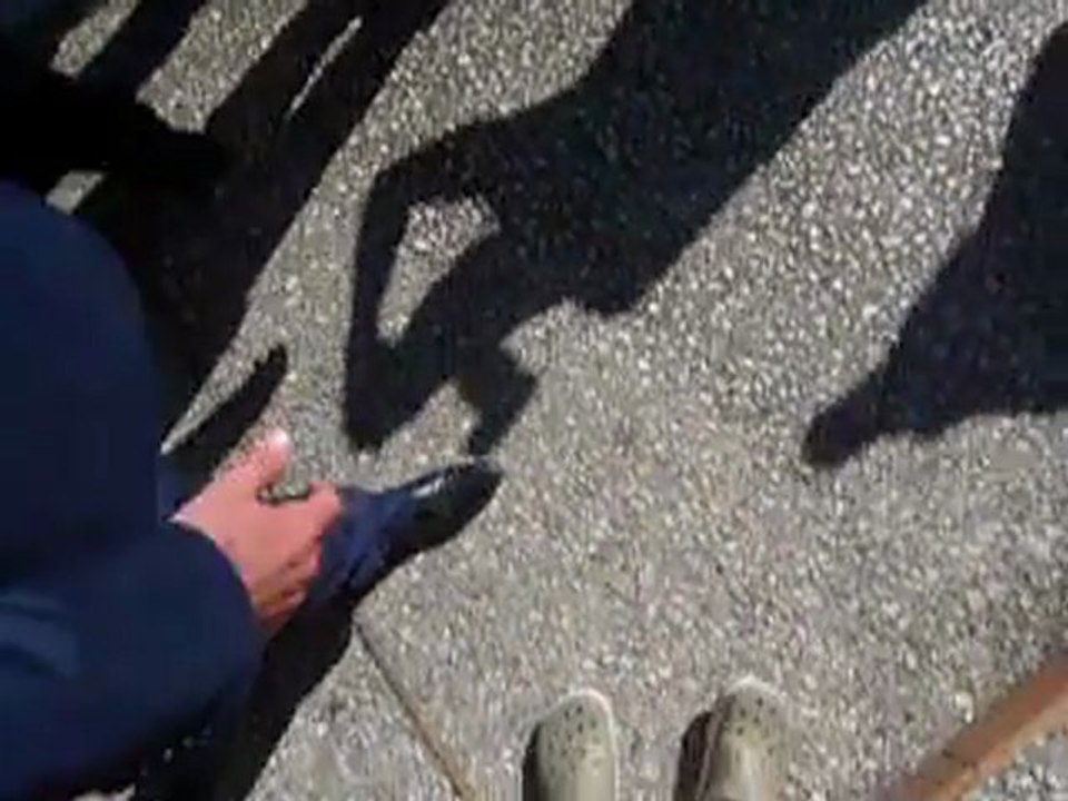 110930_HollandeAvance