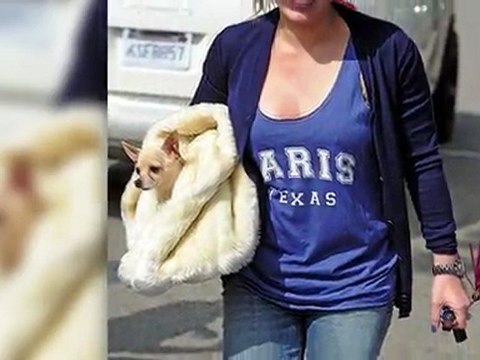 Hilary Duff auf den Hund gekommen