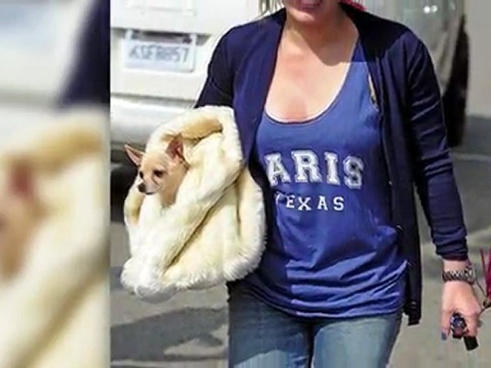 Hilary Duff auf den Hund gekommen