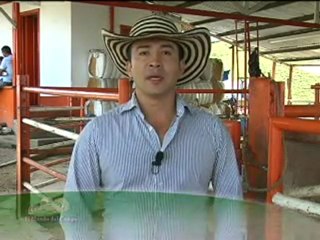 1_GANADERIA BOGA 30 septiembre 2011