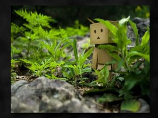 Get The Best Auto Transport Quotes!