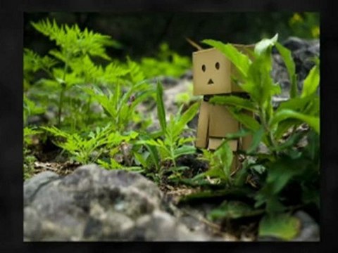 Get The Best Auto Transport Quotes!