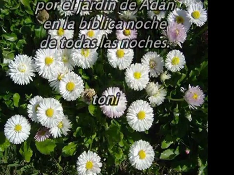 Tres poesias_Toni