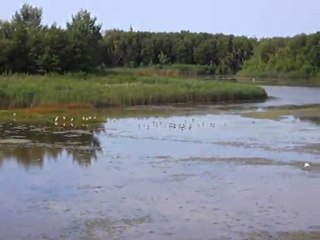 Parc naturel ornithologique espagnol