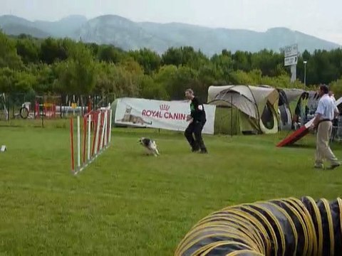 Brownie - GPF Aubagne 25.09.11