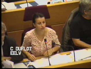 Présentation du voeu du groupe EELV pour la transition énergétique - Cécile Duflot