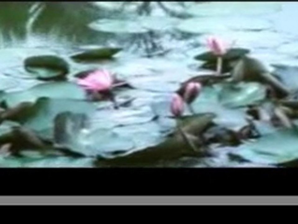 Hanoi 1997