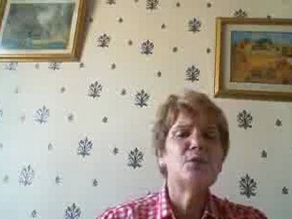 je viens du sud de michel sardou