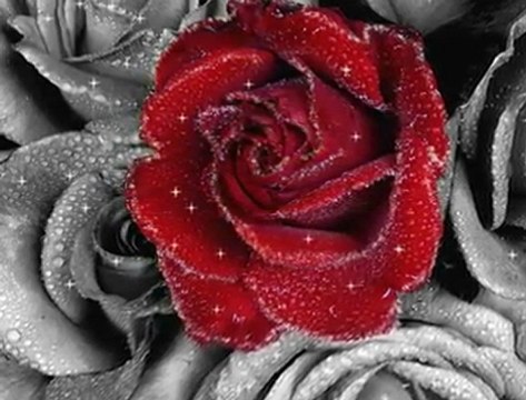 azerice azeri kızı harika türkçe müzikler @ MEHMET ALİ ARSLAN Grup