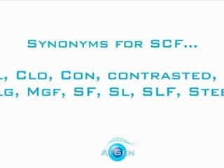 Stem cell factor recombinant protein